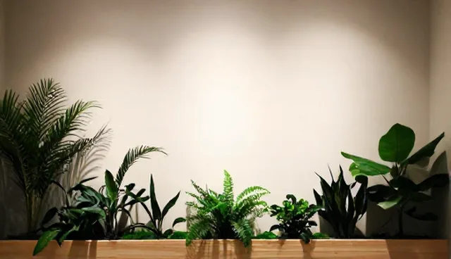 品牌建设服务包在实际应用中的两个关键环节